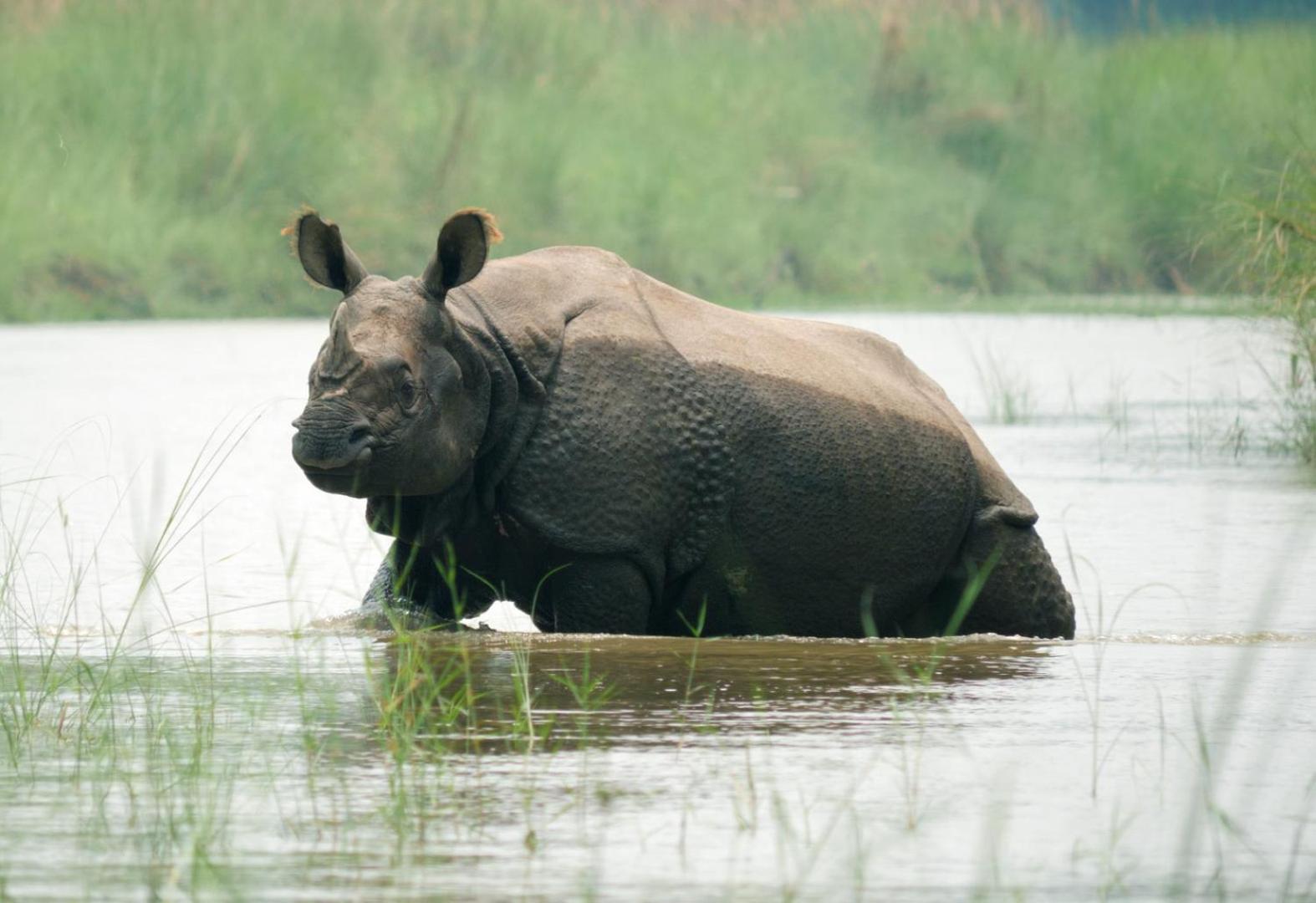 Hotel Family House - Bardia National Park Bardiya Zewnętrze zdjęcie